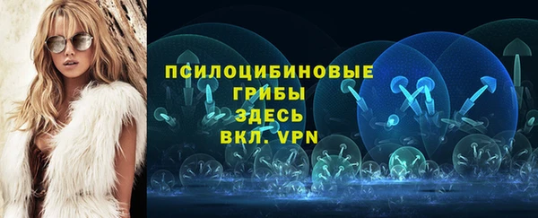 a pvp Алзамай