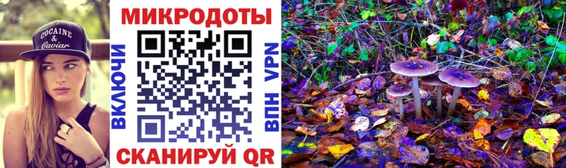 Псилоцибиновые грибы MAGIC MUSHROOMS нарко площадка Telegram Аргун